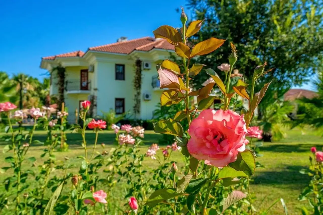 Katrancı Park Hotel Fethiye