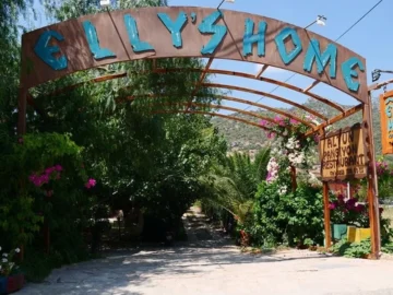 ellys-home-datca-7