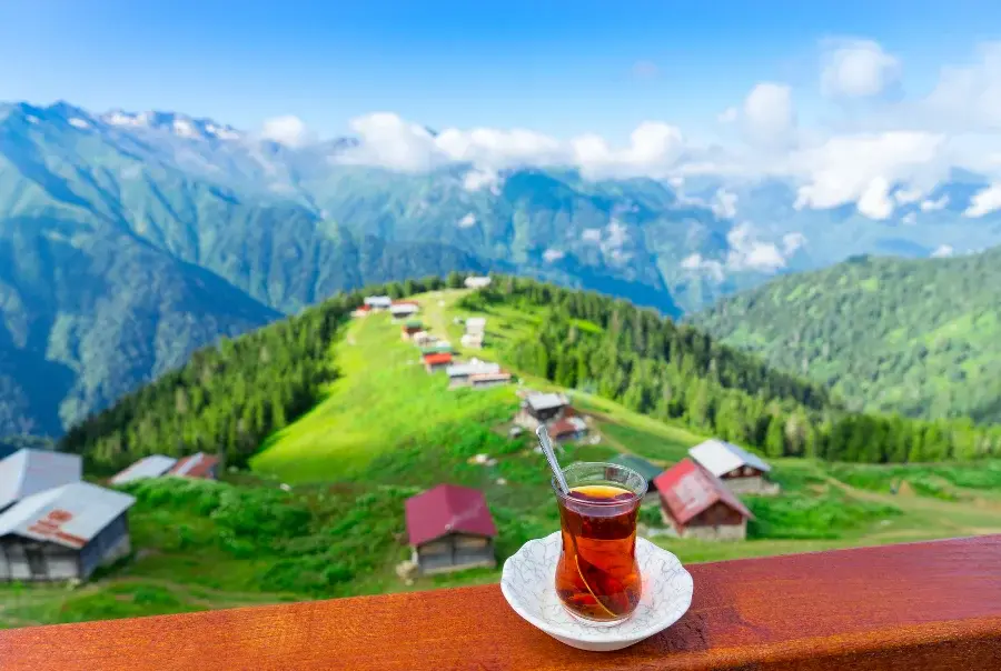 Batum Turu-Ayder Yaylası’ndan Fırtına Deresi’ne — fotoğraf 7