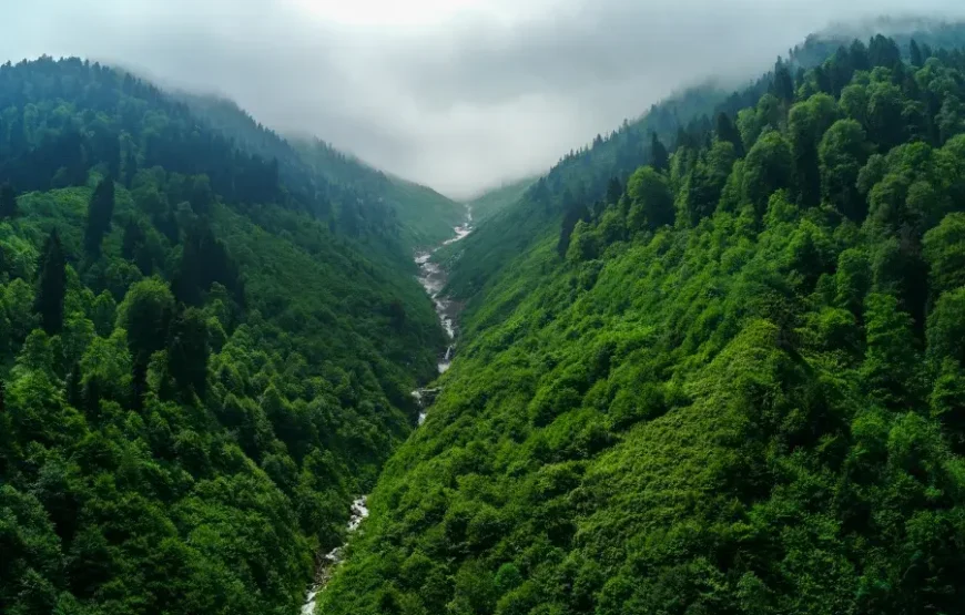 Karadeniz Yaylalar ve Batum Turu