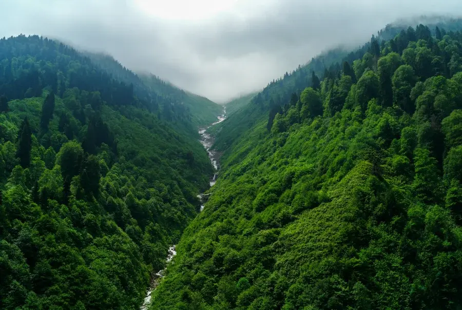 Batum Turu-Ayder Yaylası’ndan Fırtına Deresi’ne — fotoğraf 9