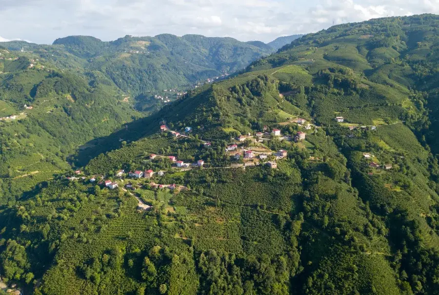 Batum Turu-Ayder Yaylası’ndan Fırtına Deresi’ne — fotoğraf 21
