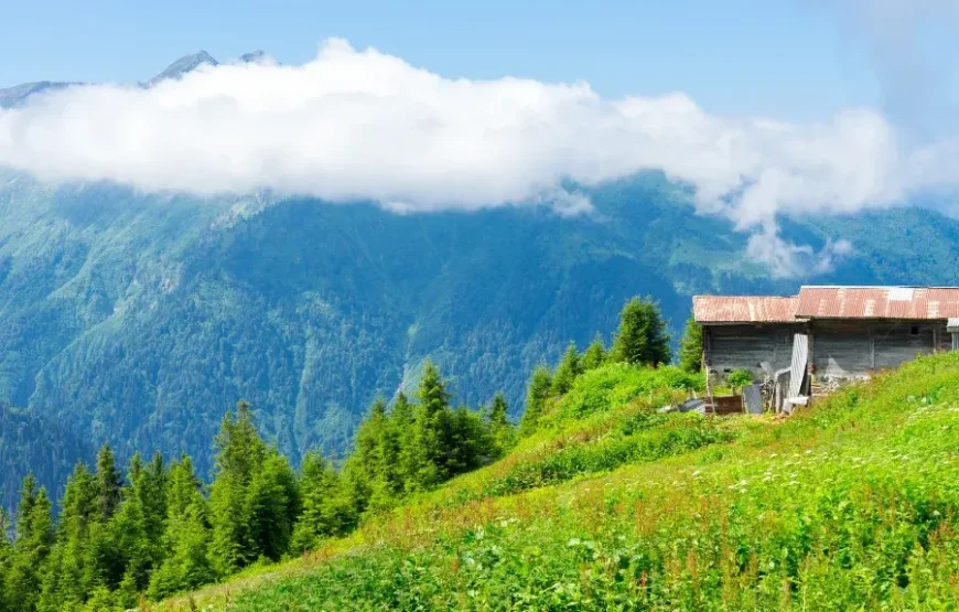 Karadeniz Yaylalar ve Batum Turu