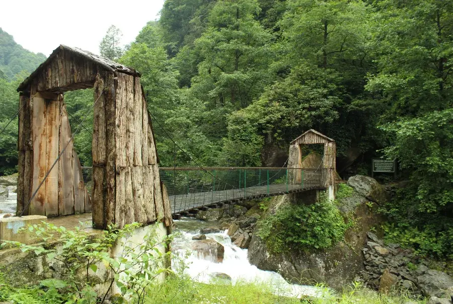 Batum Turu-Ayder Yaylası’ndan Fırtına Deresi’ne — fotoğraf 33