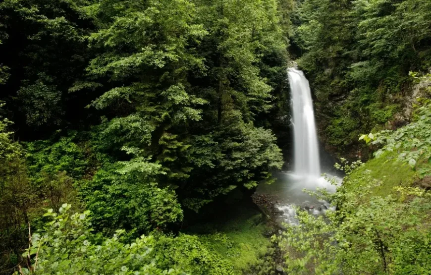 Karadeniz Yaylalar ve Batum Turu