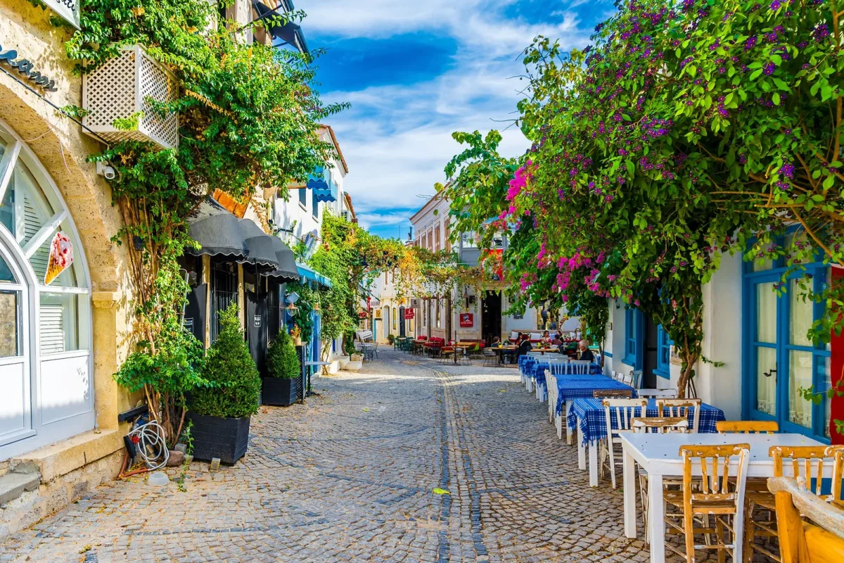 Kuşadası, Çeşme, Alaçatı ve Efes Turu 4