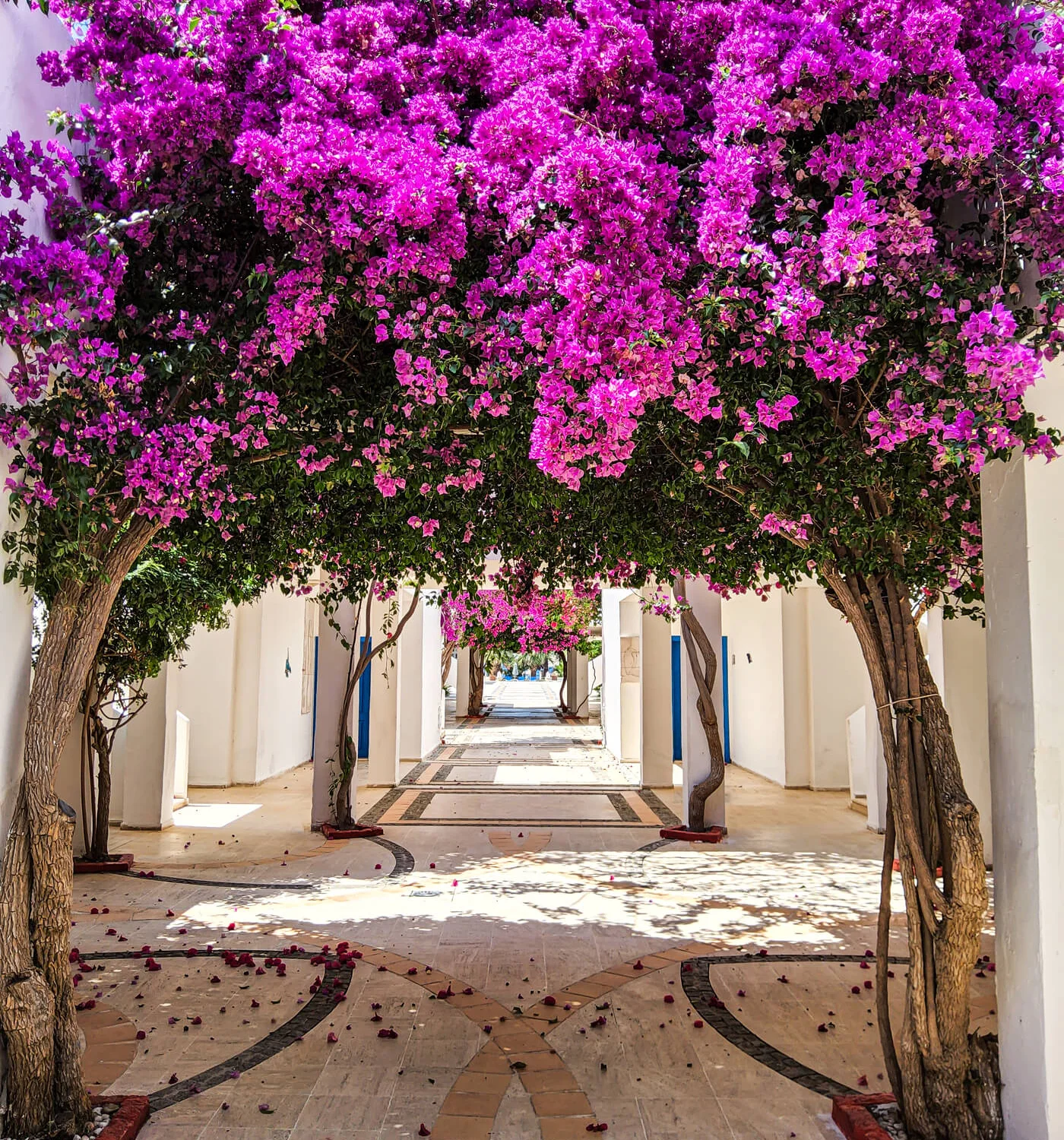 Ladonia Otel Zemda Butik Bodrum