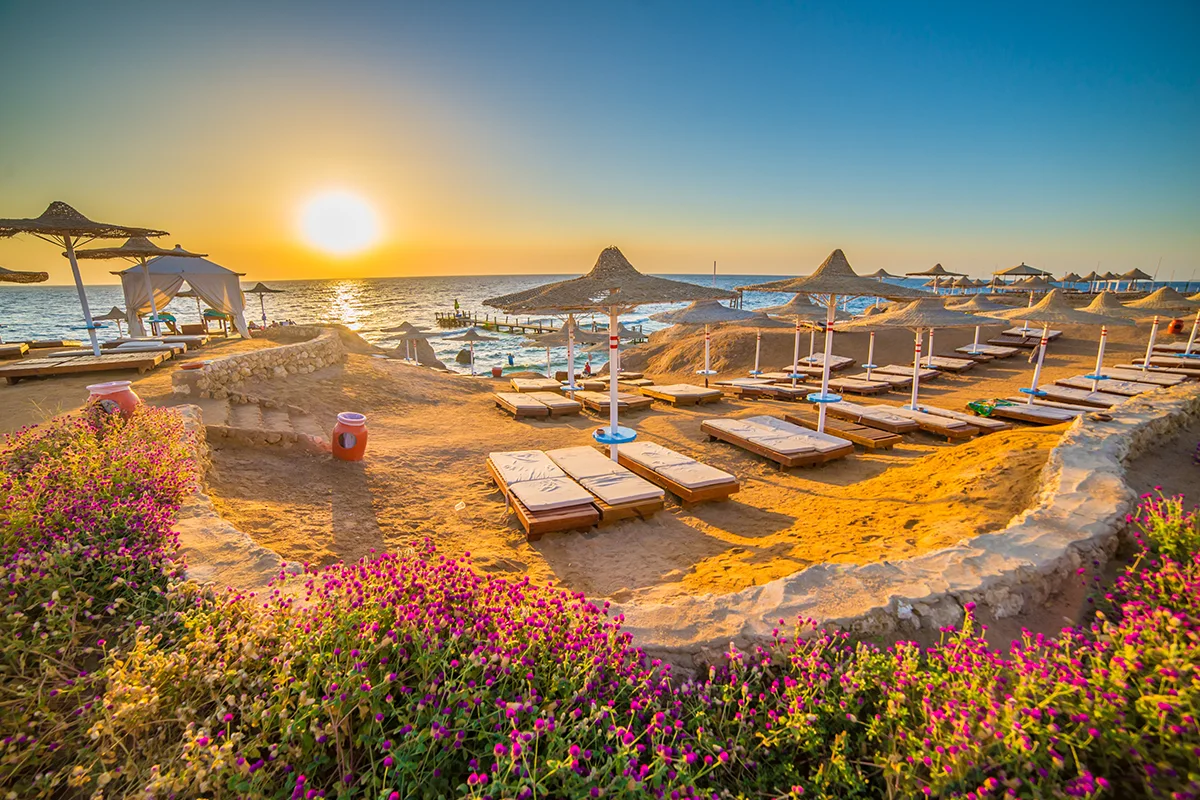 Sharm El Sheikh Turu THY İle 5 Gece — fotoğraf 2