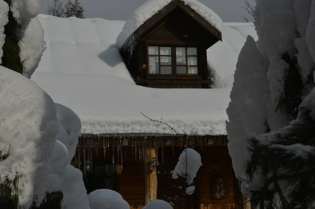 Yeşil Ev Bilginin Evi