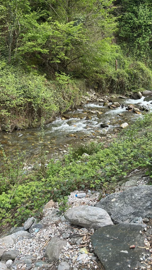 Sudere Bungalov Sapanca