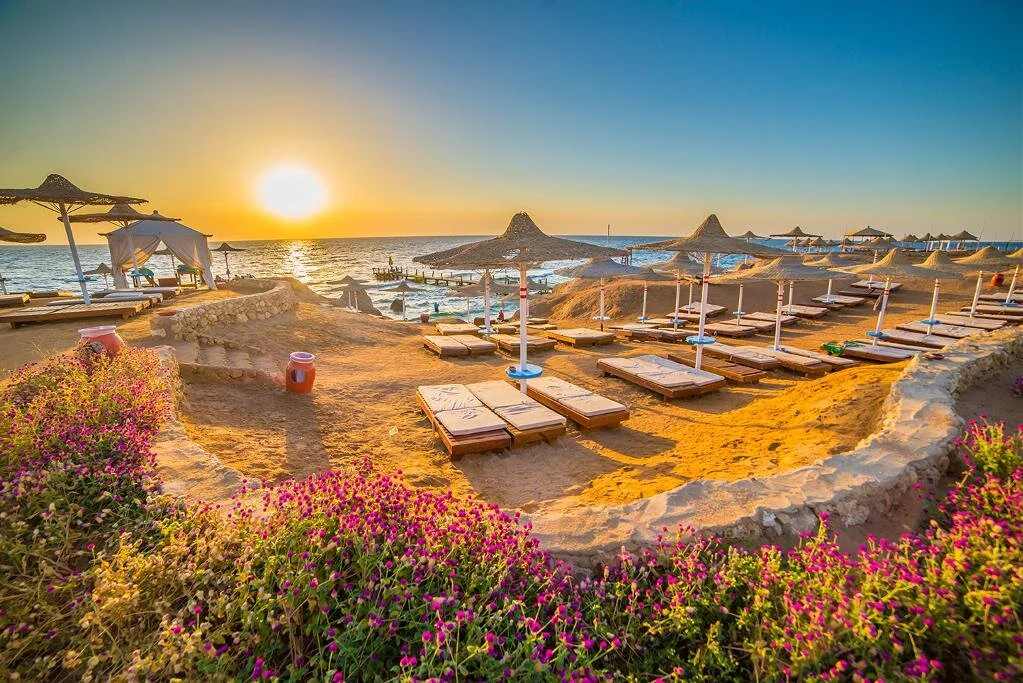 Sharm El Sheikh Turu Thy İle Konaklamalı — fotoğraf 5