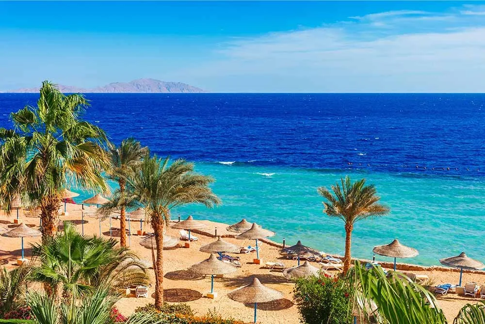 Sharm El Sheikh Turu Thy İle Konaklamalı — fotoğraf 8