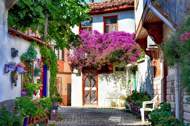 Sakarya Çıkışlı Günübirlik Cumalıkızık Turu — fotoğraf 9