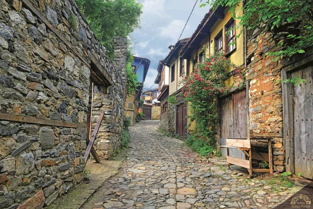 Sakarya Çıkışlı Günübirlik Cumalıkızık Turu — fotoğraf 10