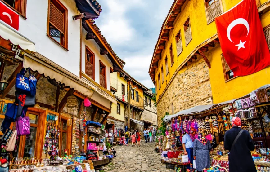 Sakarya Çıkışlı Günübirlik Cumalıkızık Turu