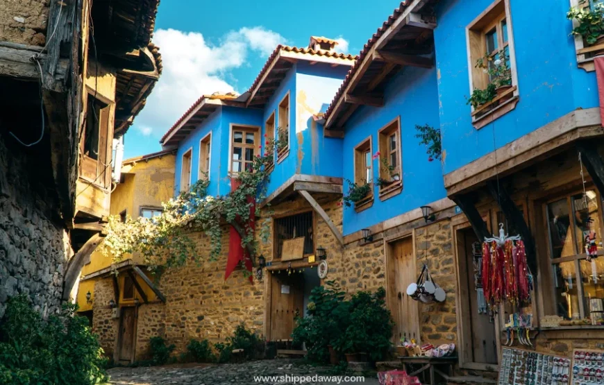 Sakarya Çıkışlı Günübirlik Cumalıkızık Turu