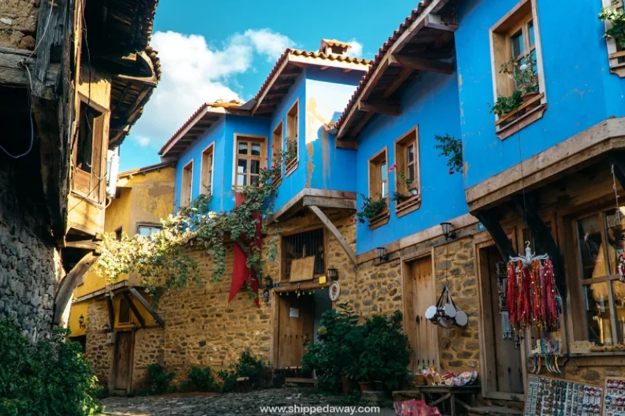 Sakarya Çıkışlı Günübirlik Cumalıkızık Turu