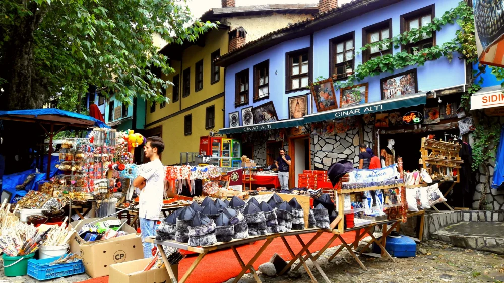 Sakarya Çıkışlı Günübirlik Cumalıkızık Turu 5