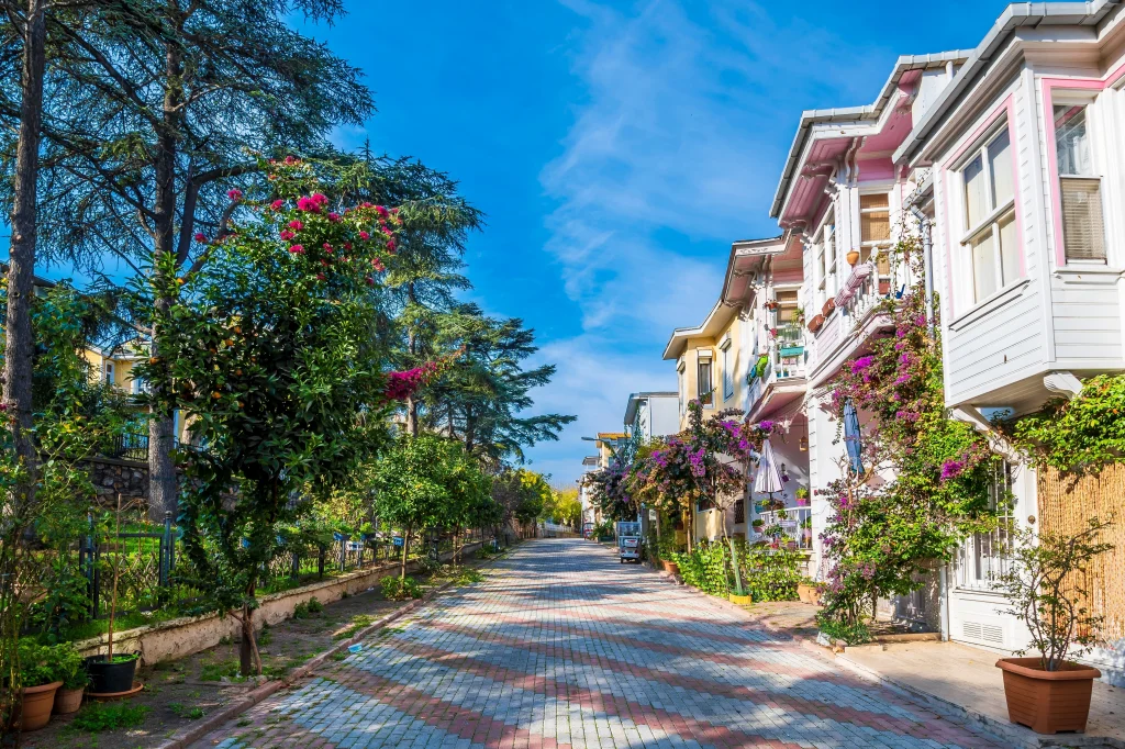 Sakarya Çıkışlı Günübirlik İstanbul Adalar Turu 2