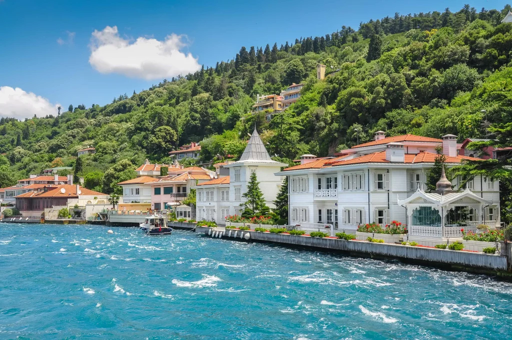 Sakarya Çıkışlı Günübirlik İstanbul Adalar Turu 3
