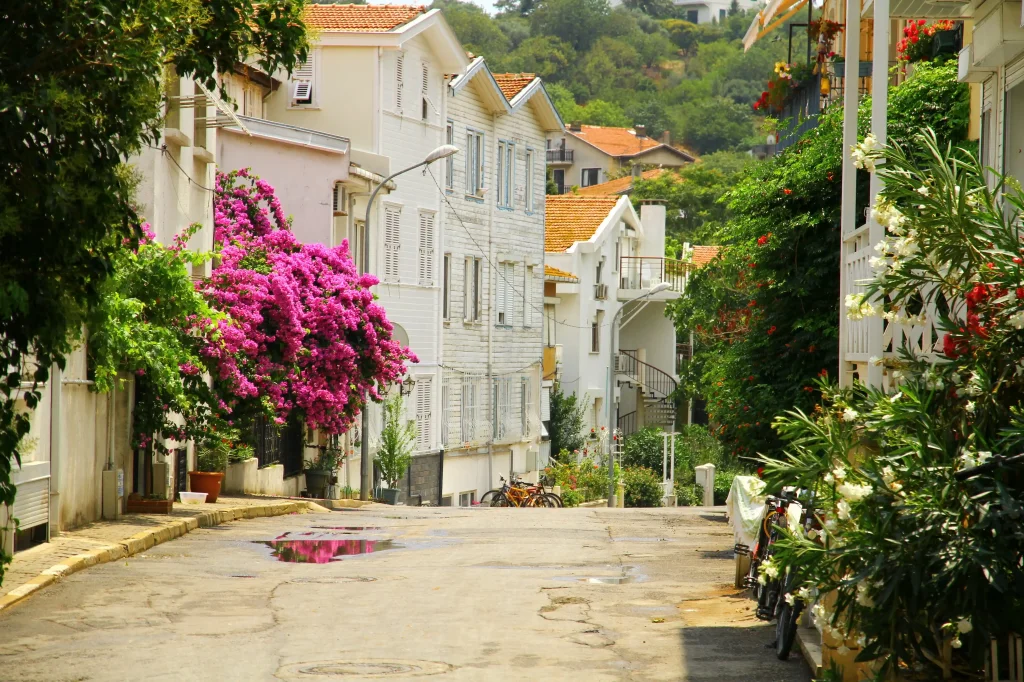 Sakarya Çıkışlı Günübirlik İstanbul Adalar Turu 5