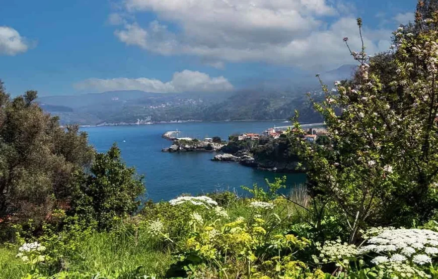 Sakarya Çıkışlı Günübirlik Safranbolu Amasra Turu
