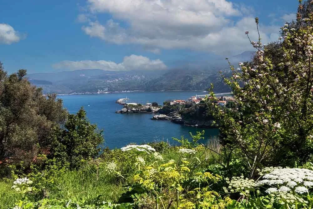 Sakarya Çıkışlı Günübirlik Safranbolu Amasra Turu — fotoğraf 18
