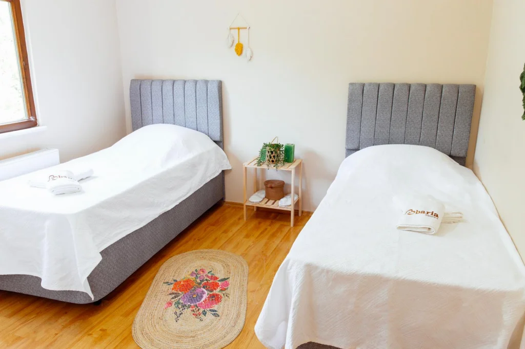 Baria Villa Kırkpınar