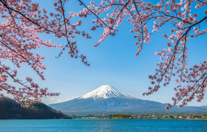 Japonya’nın Gizli Hazineleri Turu Thy İle 7 Gece