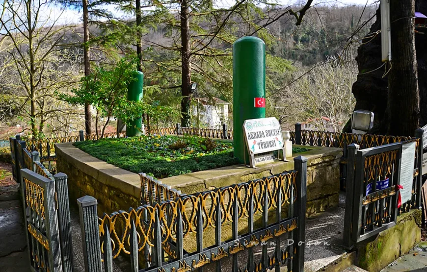 Günübirlik İstanbul Rotası : Anadolu Kavağı, Yuşa Tepesi ve Moda Sahili