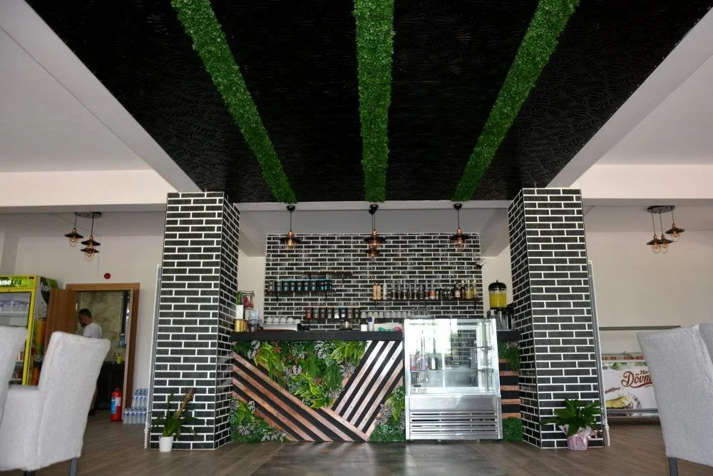 Antigonia Hotel İznik