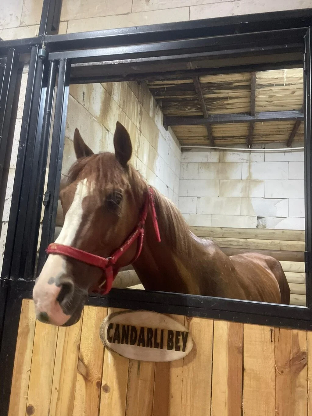 İznik Candarlı Çiftliği