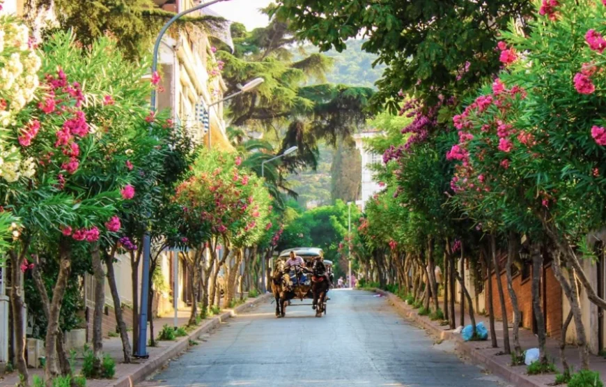 Adalar Mimoza Festivali Turu