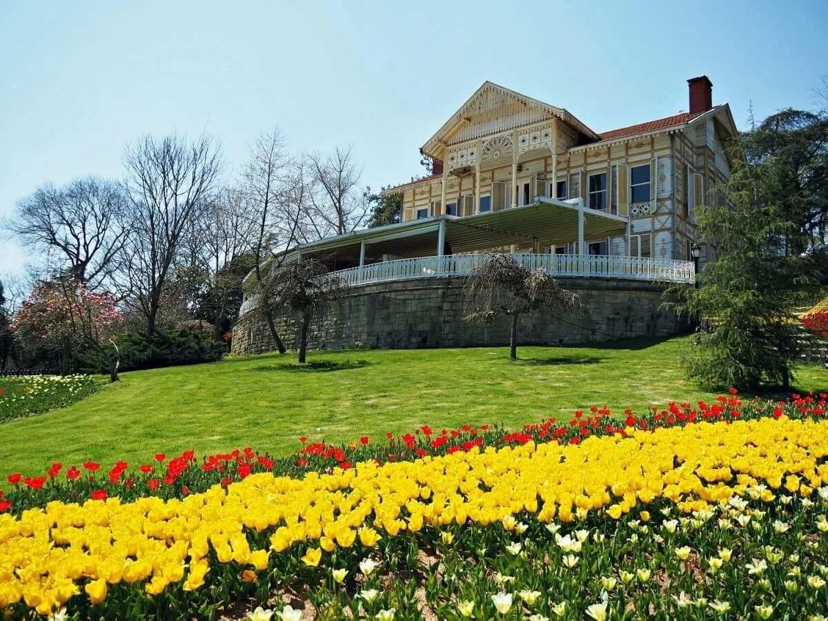 Lalelerden Sakuralara İstanbul Turu — fotoğraf 5