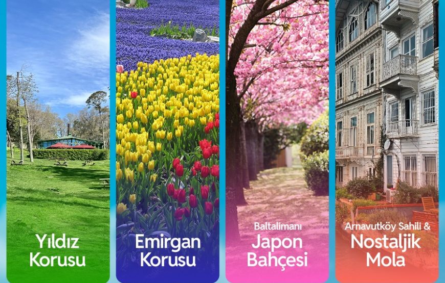 Lalelerden Sakuralara İstanbul