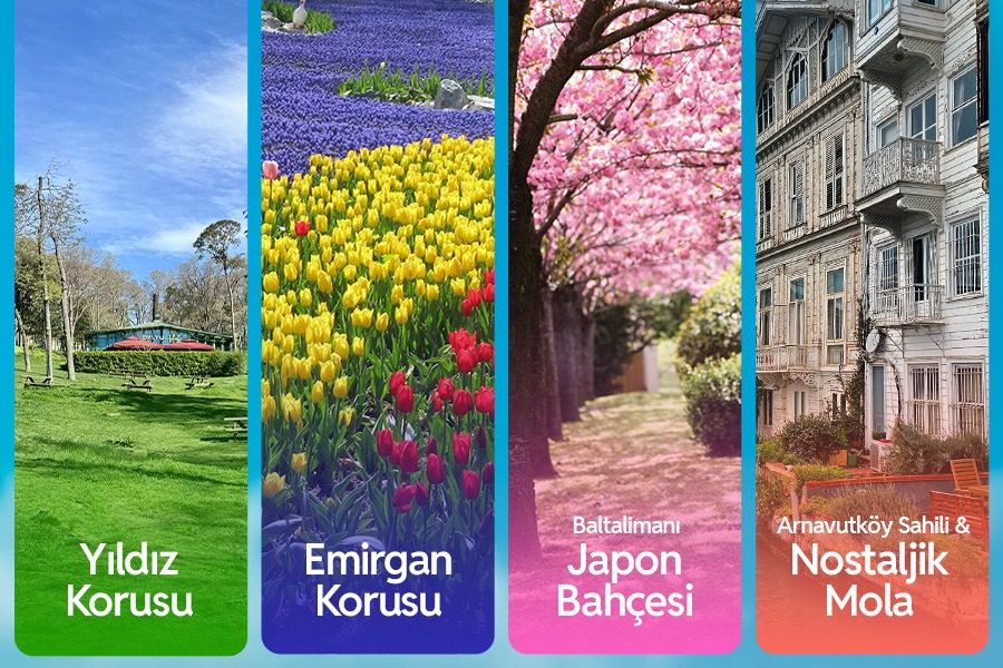 Lalelerden Sakuralara İstanbul