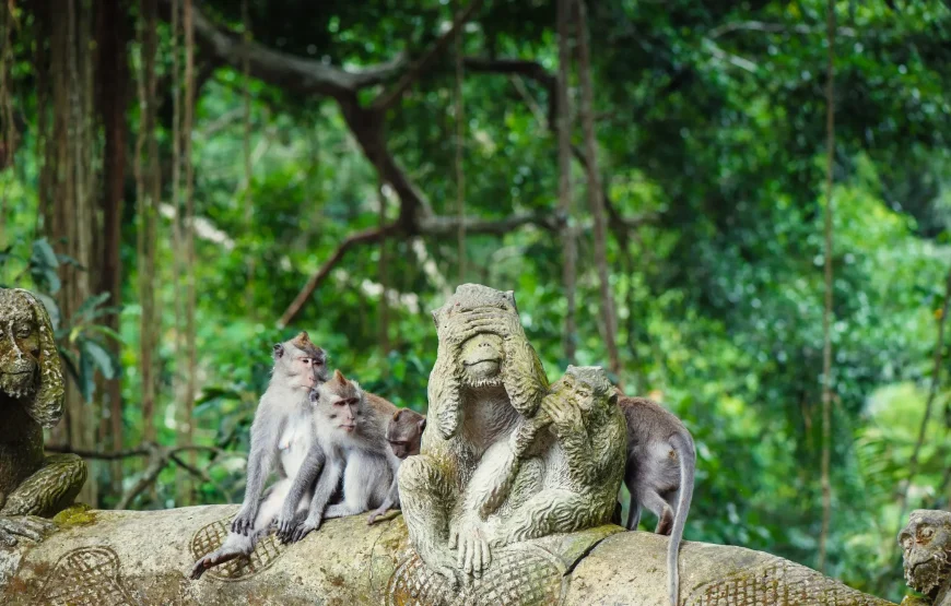 7 Gece 8 Gün Asya’nın Üç İncisi Turu