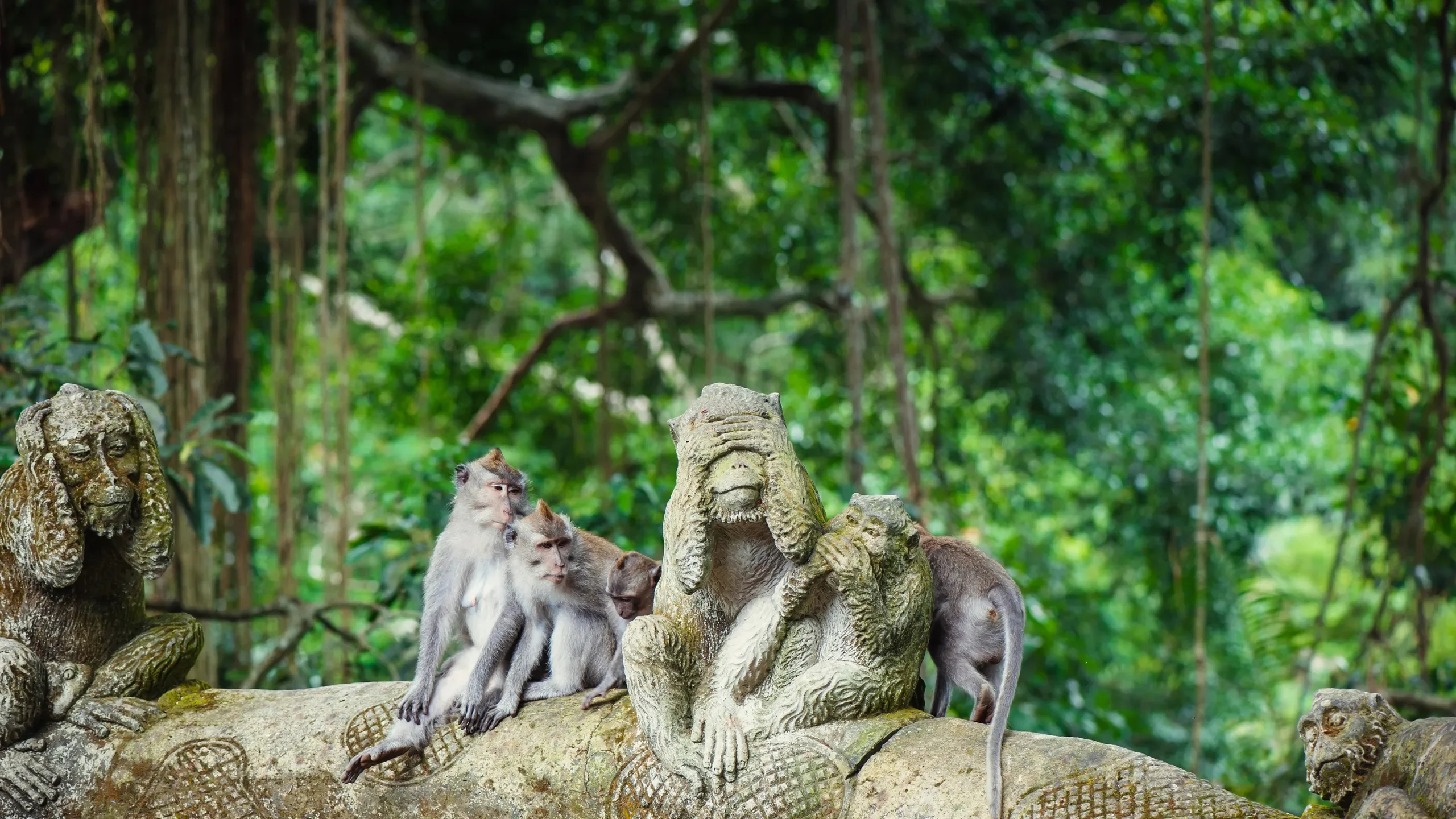 Vizesiz Bali – Singapur – Kuala Lumpur Turu 5