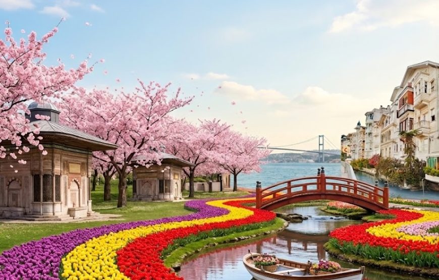 Lalelerden Sakuralara İstanbul
