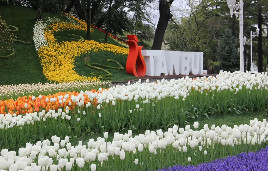 İstanbul Lale Festivali Turu 🌷
