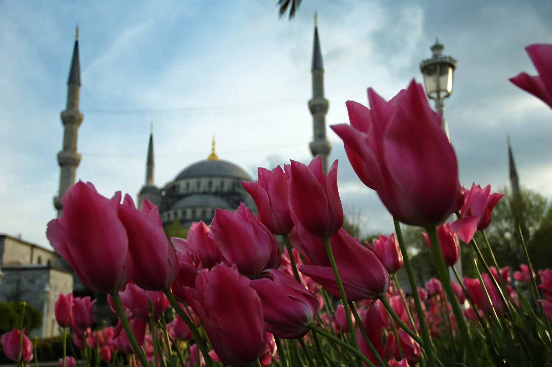 Lalelerden Sakuralara İstanbul Turu — fotoğraf 8