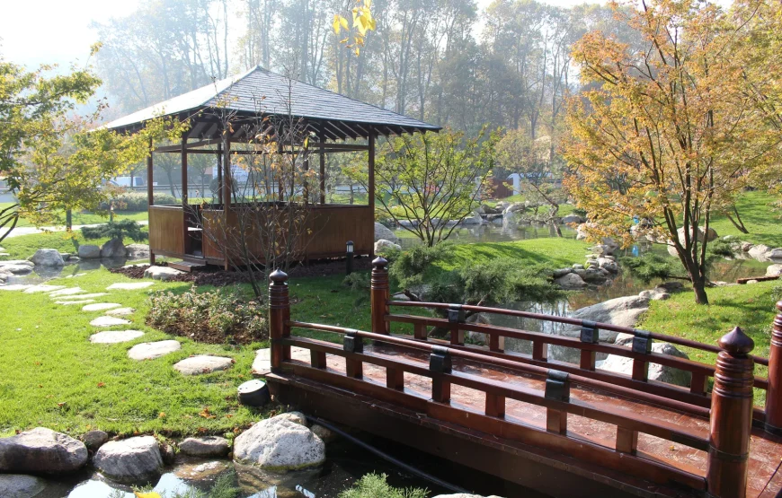 İstanbul Sakura Çiçeği Turu 🌸