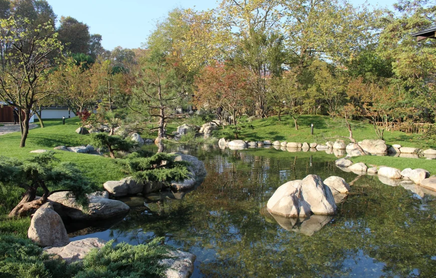 İstanbul Sakura Çiçeği Turu 🌸