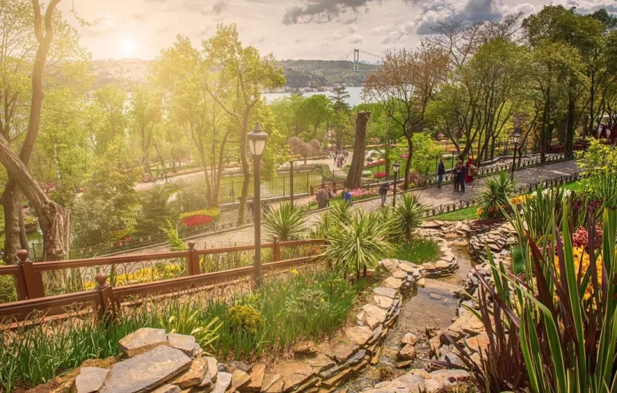 İstanbul Sakura Çiçeği Turu 🌸