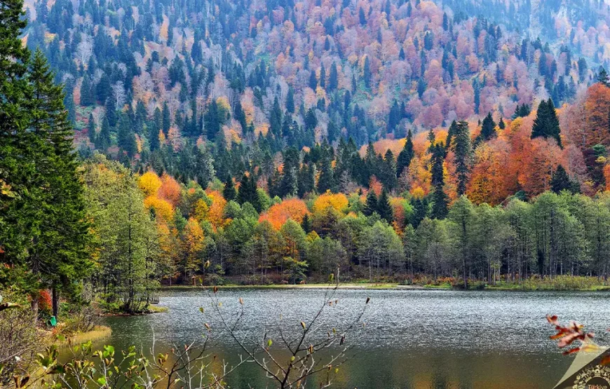 Karadeniz Yaylalar ve Batum Turu: 3 Gece Konaklamalı-GK2