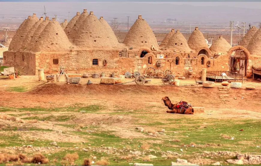 GAP Turu Kurban Bayramı Özel – GG3