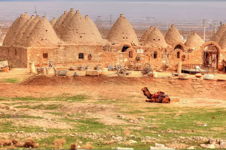 GAP Turu Kurban Bayramı Özel – GG3