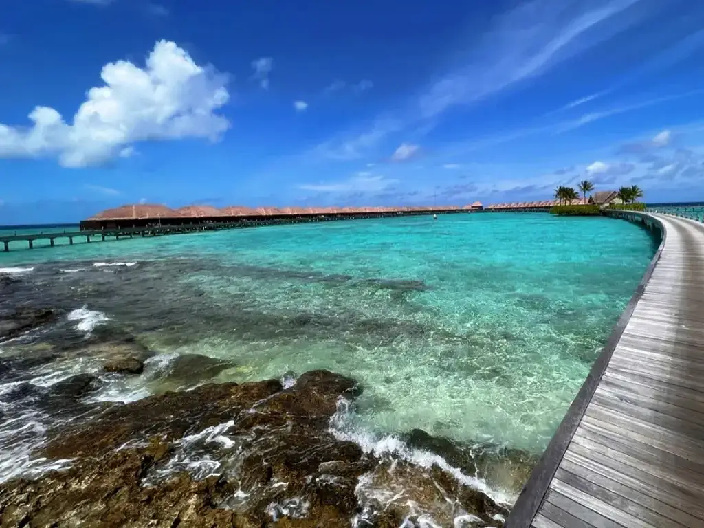 Ayada Maldives — fotoğraf 9