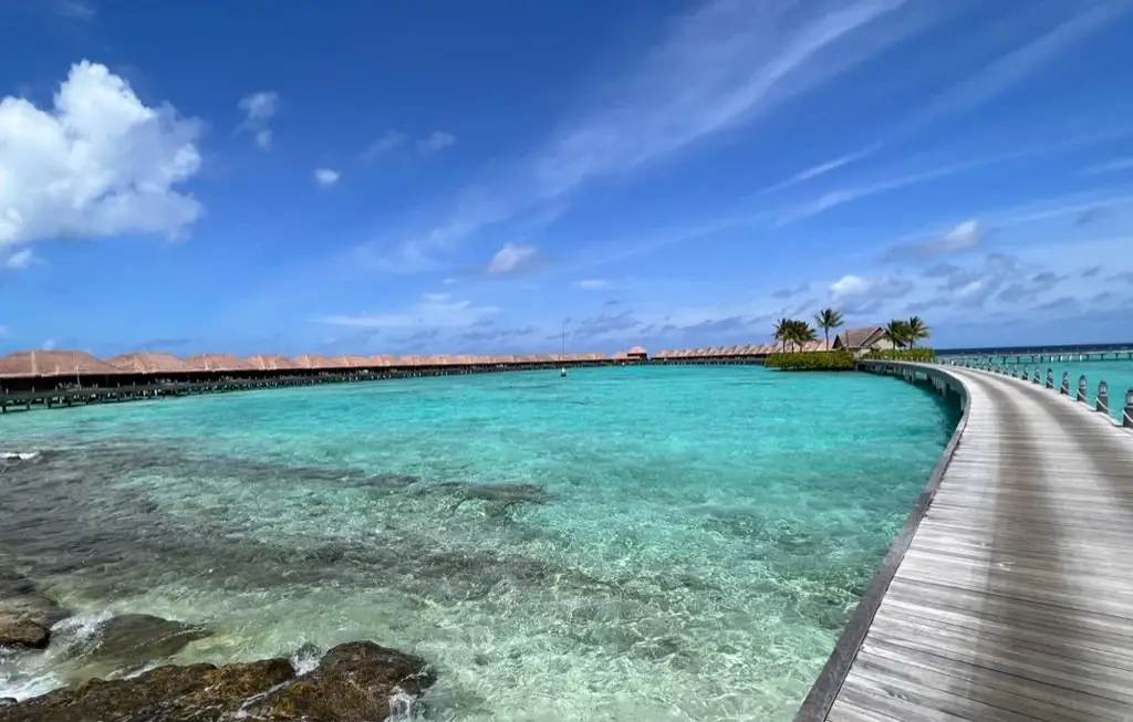 Ayada Maldives — fotoğraf 11