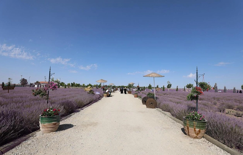 Pamukkale Sagalassos Salda ve Lavanta Festivali — fotoğraf 10